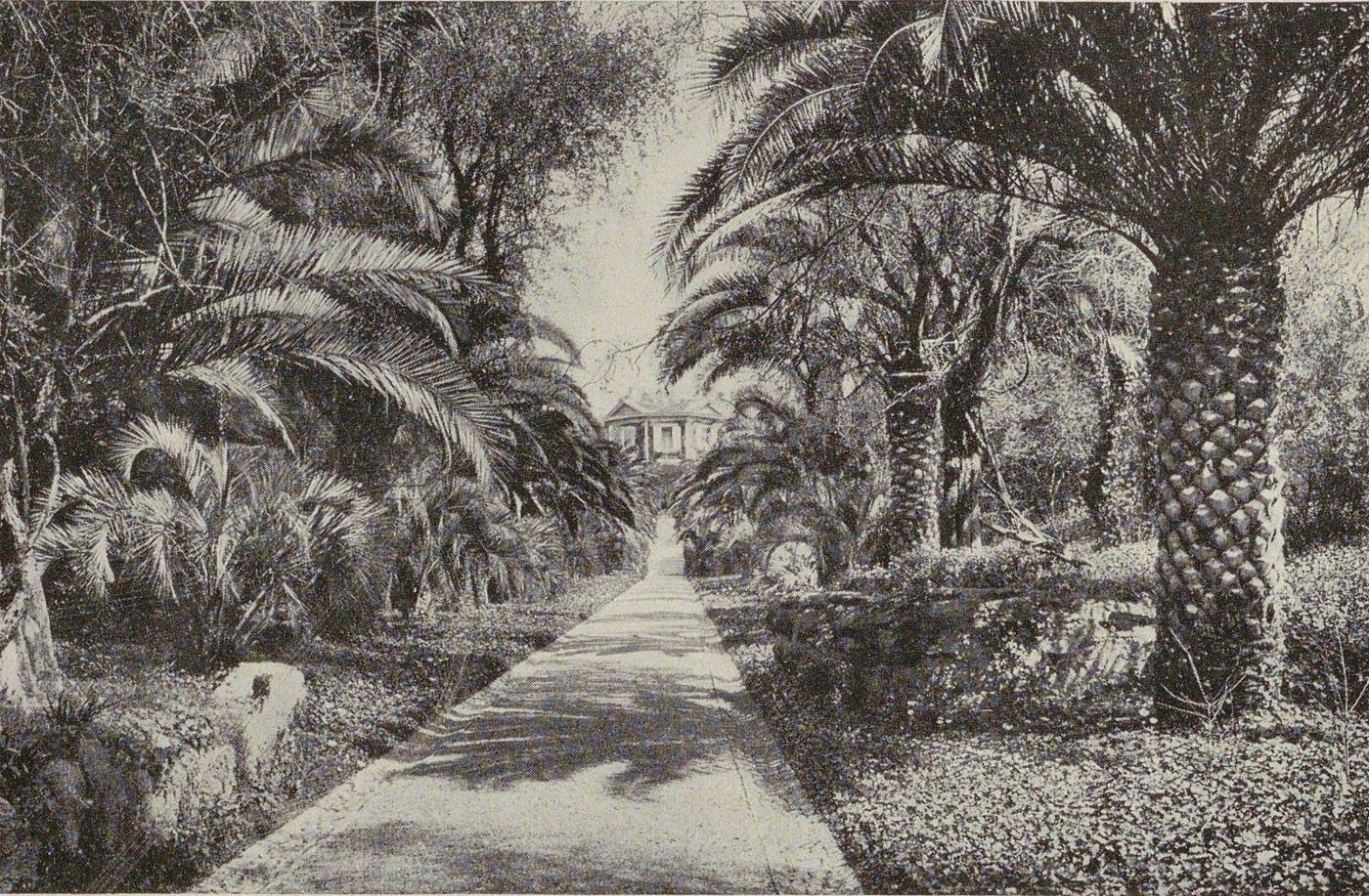 [Grande allée régulière au sud de la villa Selvosa.], 1914.