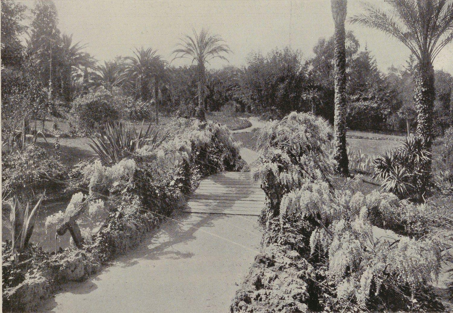 [Villa Selvosa. le pont habillé de glycines.], 1914.