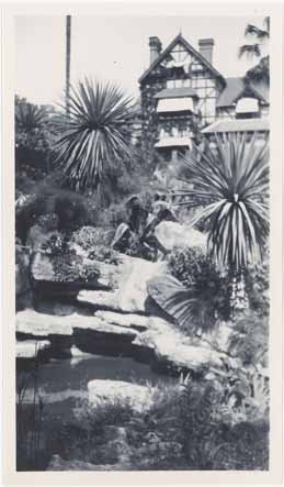 [Jardin de la villa Les Lotus à Cannes. Rochers et plantes grasses.], sd.