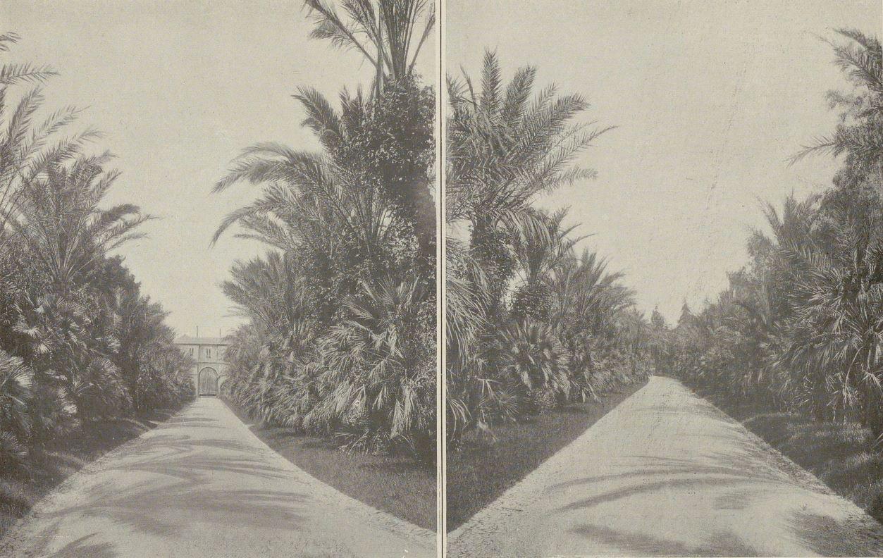 [Villa Fiorentina]. L'allée droite d'arrivée, 1913. Vue depuis le pavillon d'entrée et depuis la maison. 