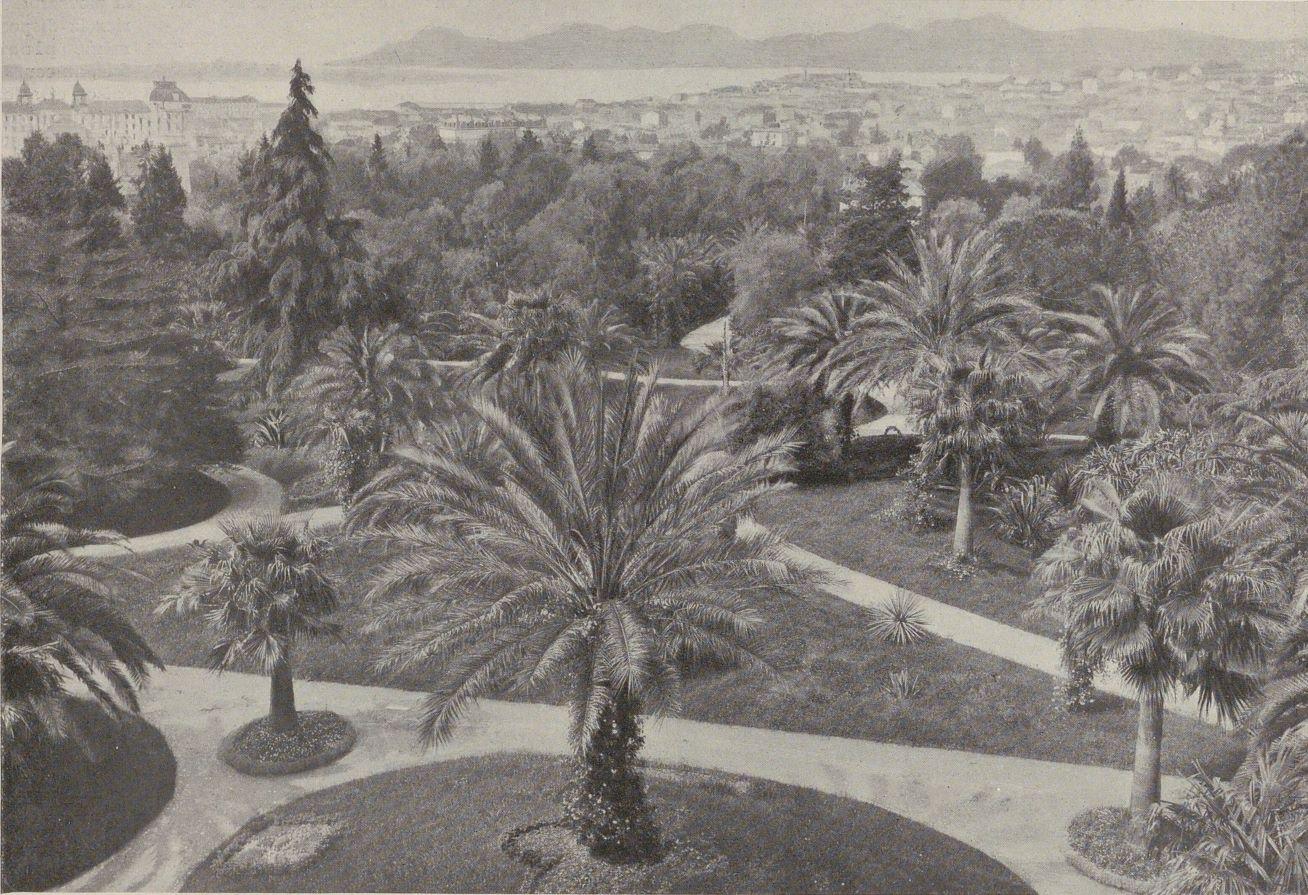 Le jardin tropical extérieur. [villa Fiorentina], 1913. Le grand parterre irrégulier vue prise depuis la terrasse devant la villa.