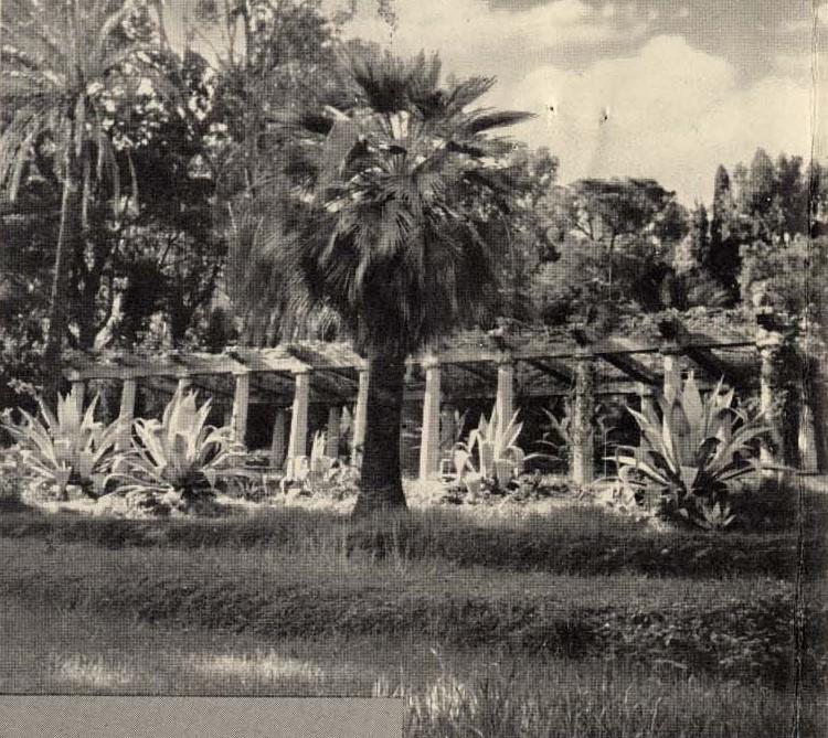 [Jardin de la villa Eléonore-Louis à Cannes. La pergola à l'est de la villa.], [années 1950].
