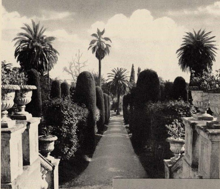 [Jardin de la villa Eléonore-Louis à Cannes. L'allée de buis en contrebas de la terrasse.], [années 1950].