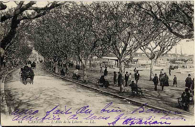 Cannes - L'Allée de la Liberté, 1903. 