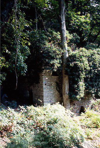 Vue d'ensemble de trois quarts.