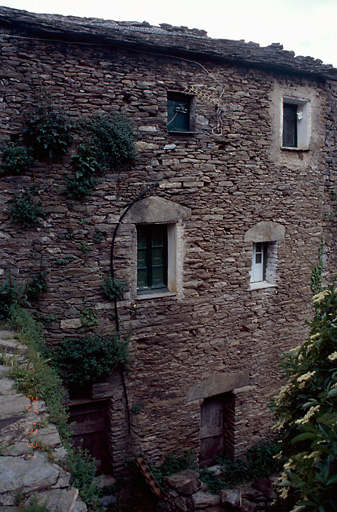 Elévation postérieure.