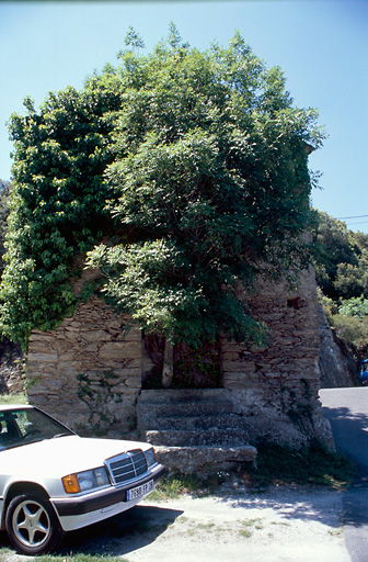 Elévation antérieure.