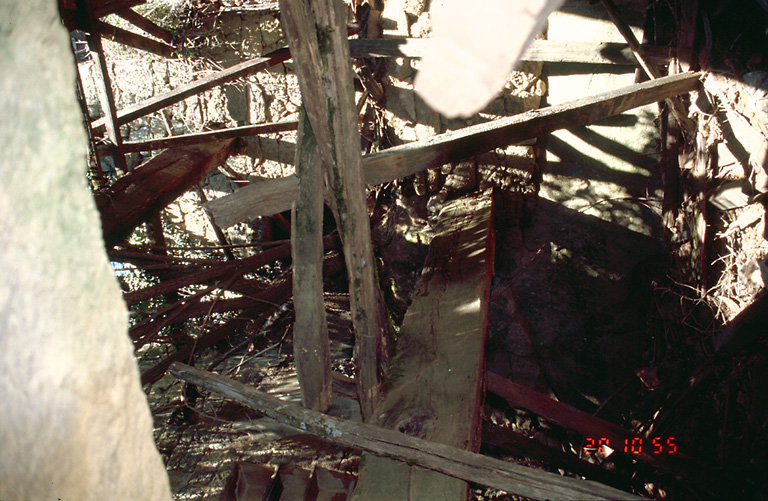 Détail de la charpente.