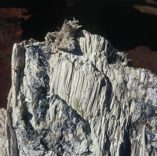 Fragment de roche.