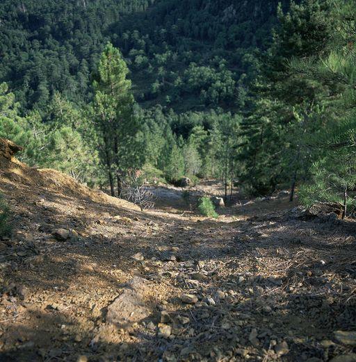 Chemin d'accès à la mine.
