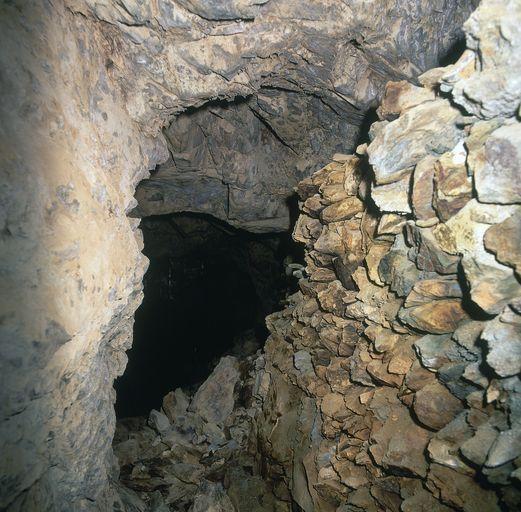 Galerie. Boisage. Vue d'ensemble No 1.