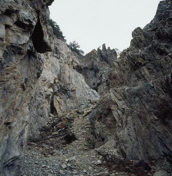 Vue d'ensemble de l'exploitation.