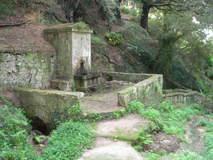 Vue d'ensemble de trois quarts gauche.