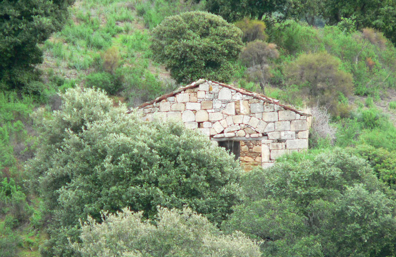 Vue d'ensemble.