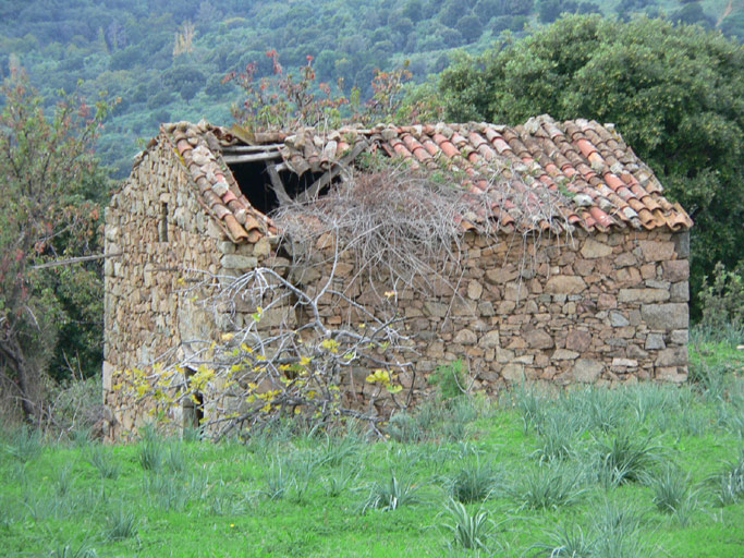 Vue d'ensemble de trois quarts.