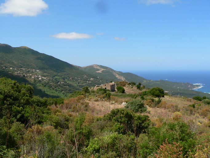 Vue d'ensemble.
