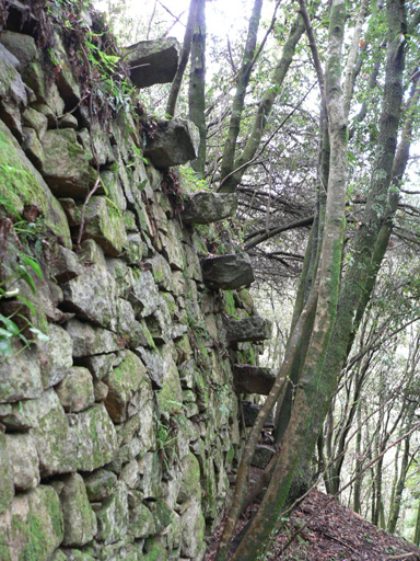Pierres en saillie formant des marches d'escalier.