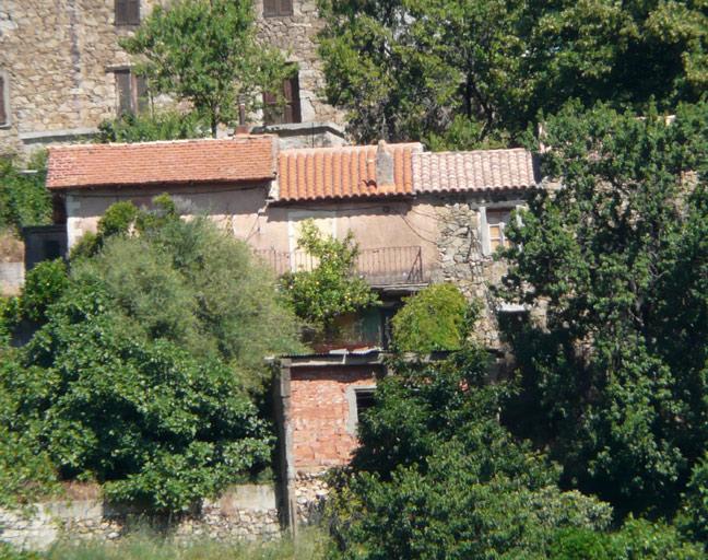 Elévation postérieure.