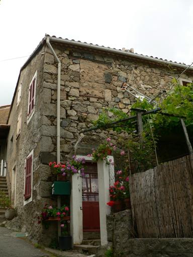 Elévation antérieure.