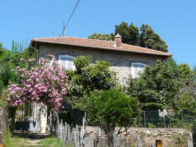 Elévation antérieure.