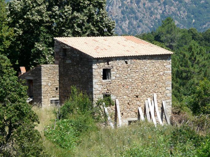 Vue d'ensemble de trois quarts.
