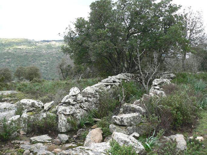 Ancien chemin bordé de murs en pierres sèches.