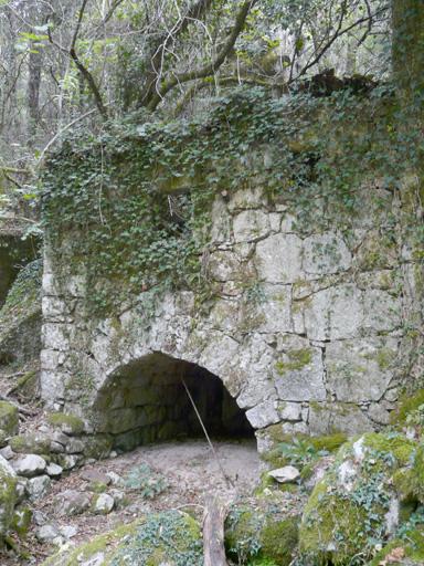 Vue partielle de l'élévation antérieure.