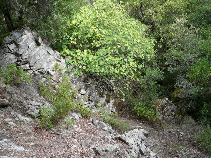 Conduite forcée et moulin vus en plongée.