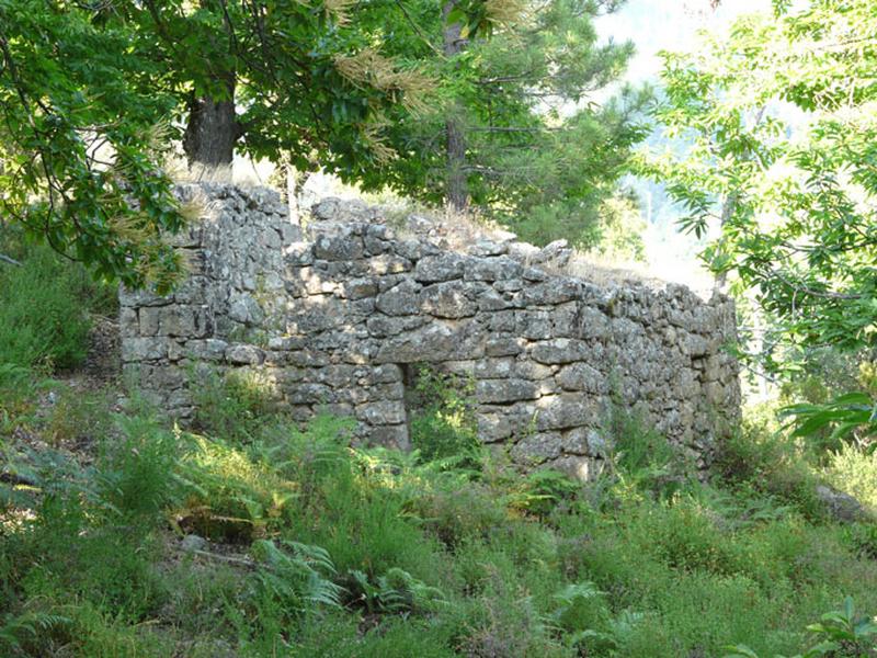 Vue d'ensemble.