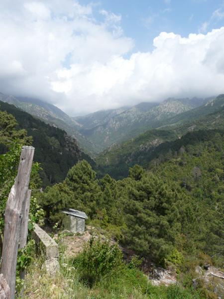Vue des gorges du Cruzzini.