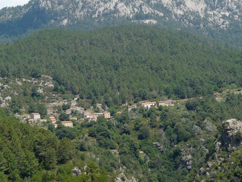 Vue d'ensemble du village.