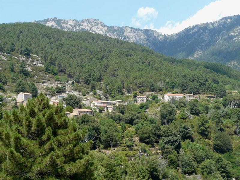 Vue d'ensemble du village.