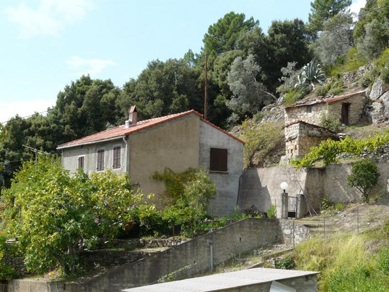 Vue d'ensemble de trois quarts.