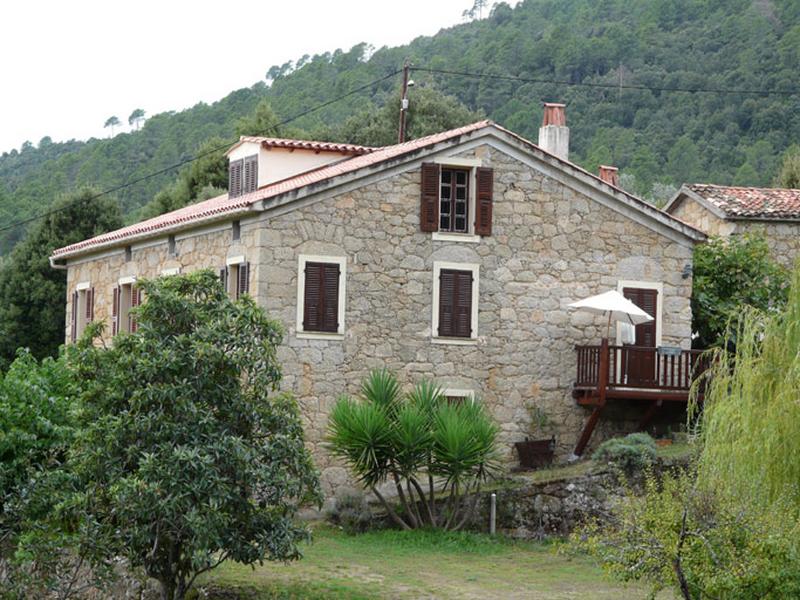 Vue d'ensemble de trois quarts.