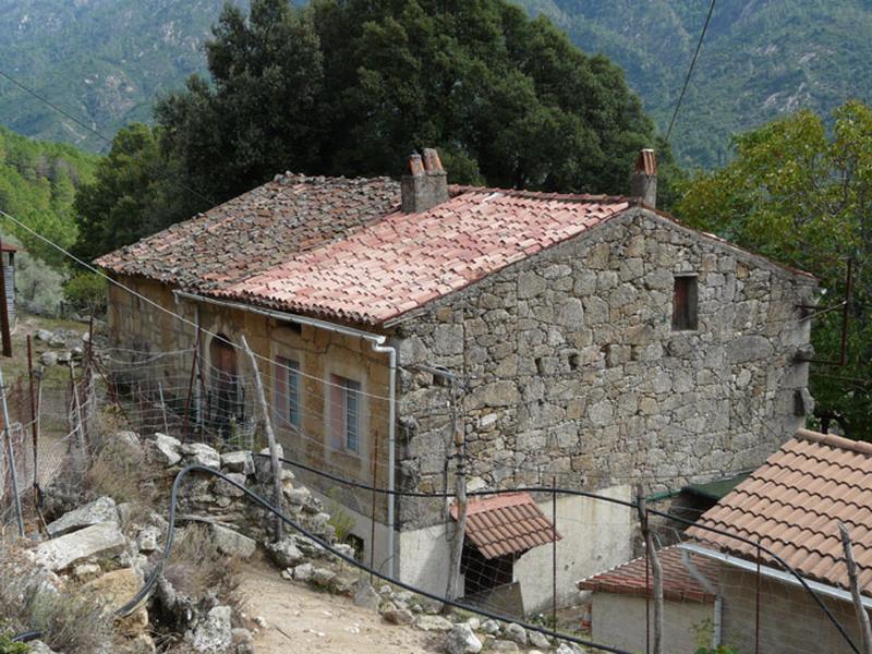 Vue d'ensemble de trois quarts.