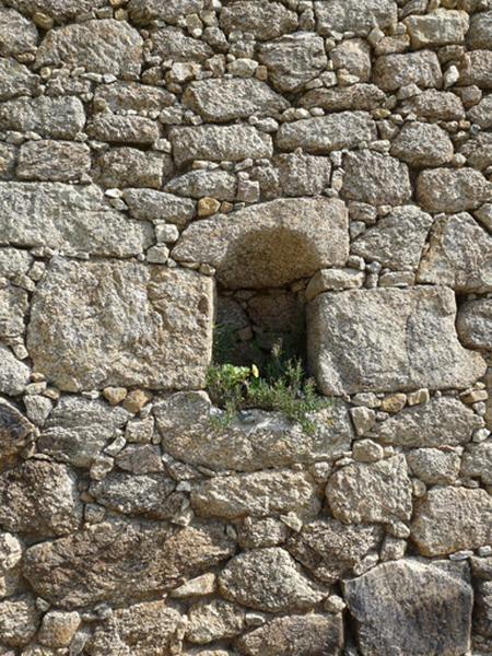 Niche mangeoire (?).