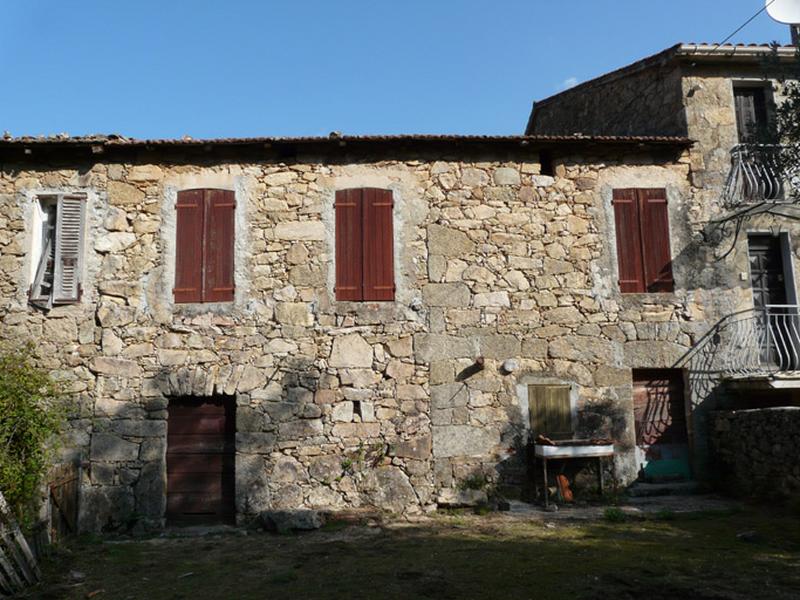 Elévation postérieure.