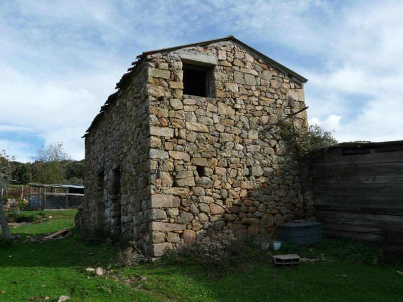 Vue d'ensemble de trois quarts.
