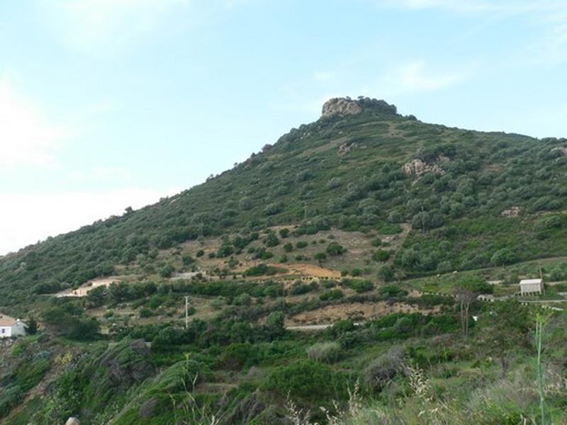 Vue d'ensemble du site.