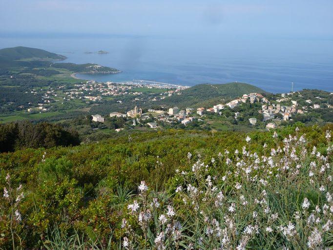 Vue d'ensemble.