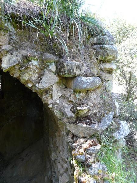 Détail de la voûte.