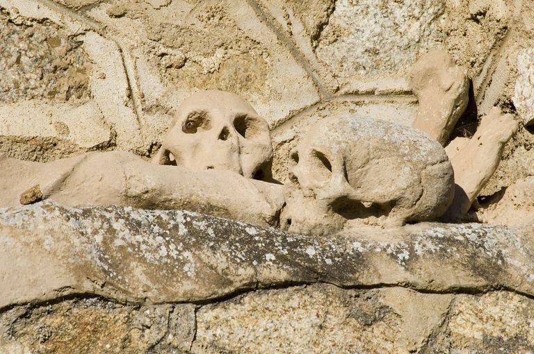 Vue d'ensemble de deux crânes figurés près du gisant.