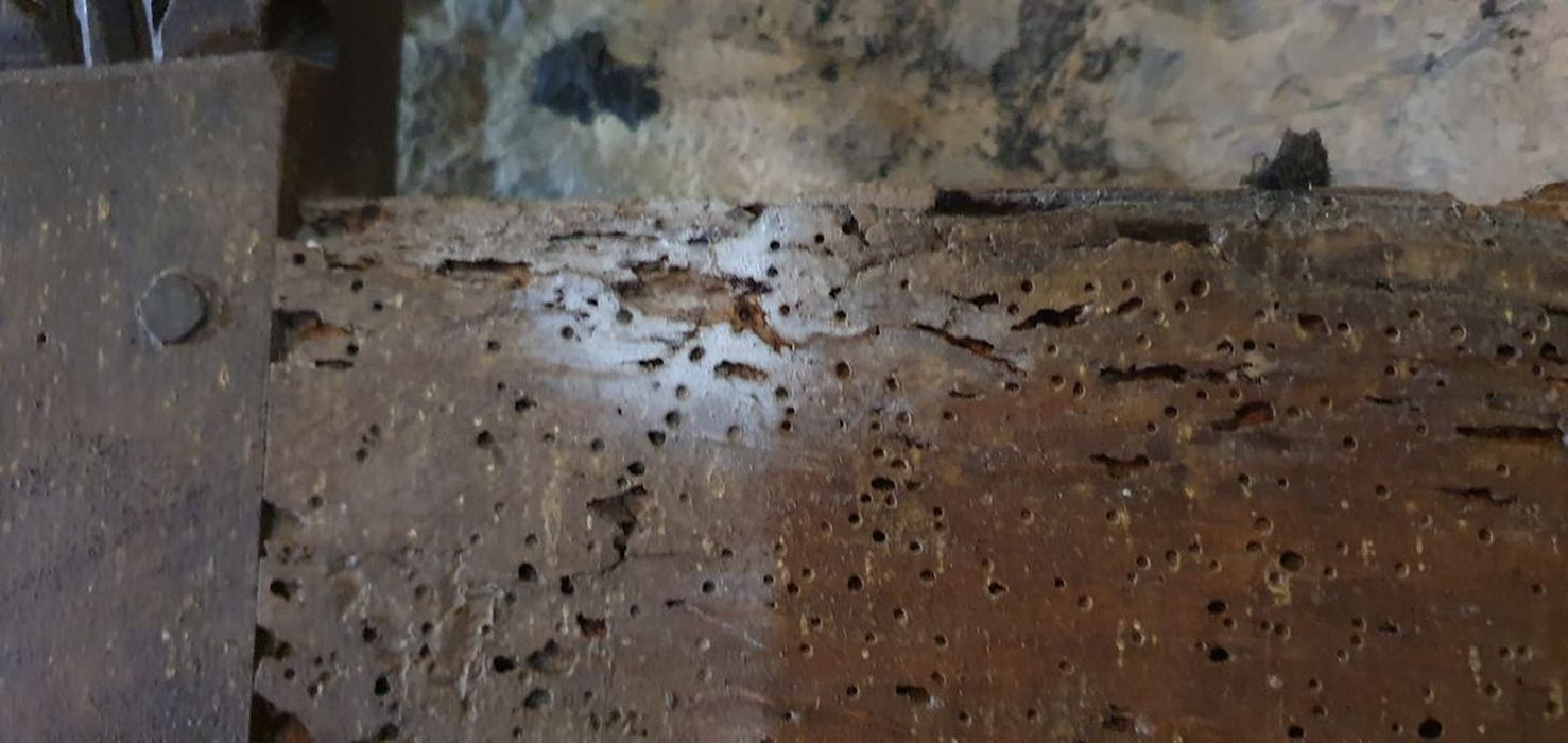 banc de fidèle, détail sanitaire