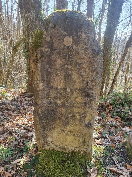 statue-menhir de Monteillet