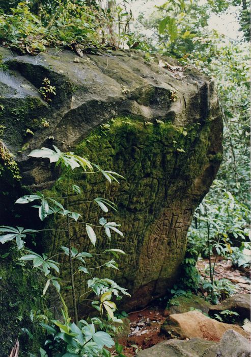 vue générale d’une roche gravée