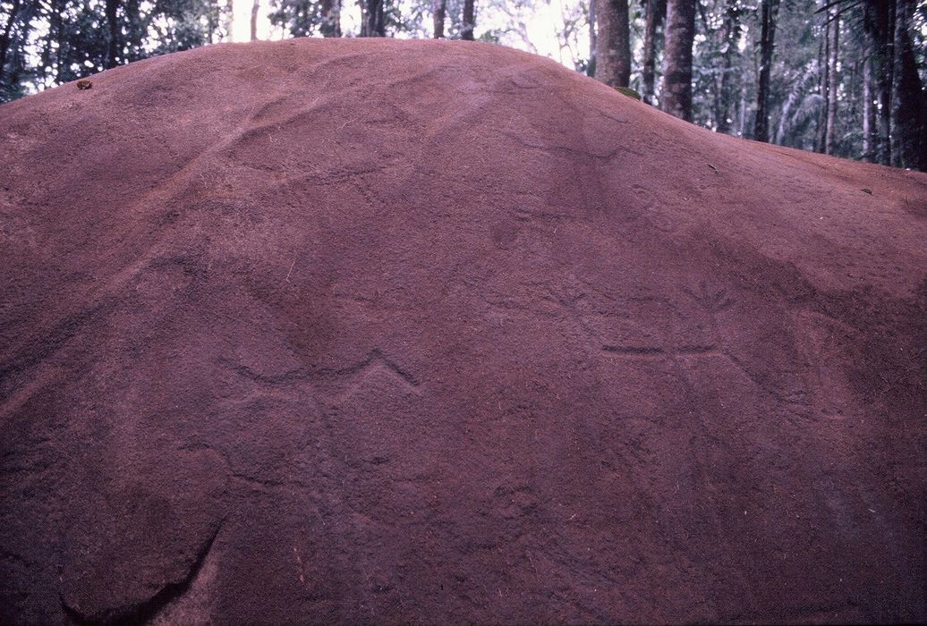 détail d’une roche gravée