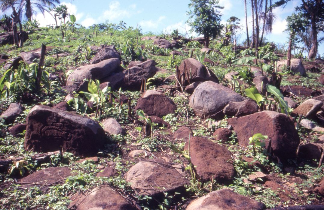 vue générale du site