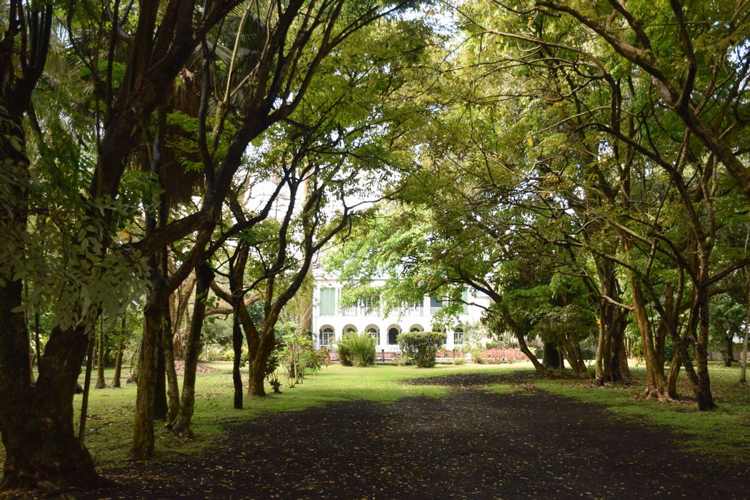 parc, vue partielle