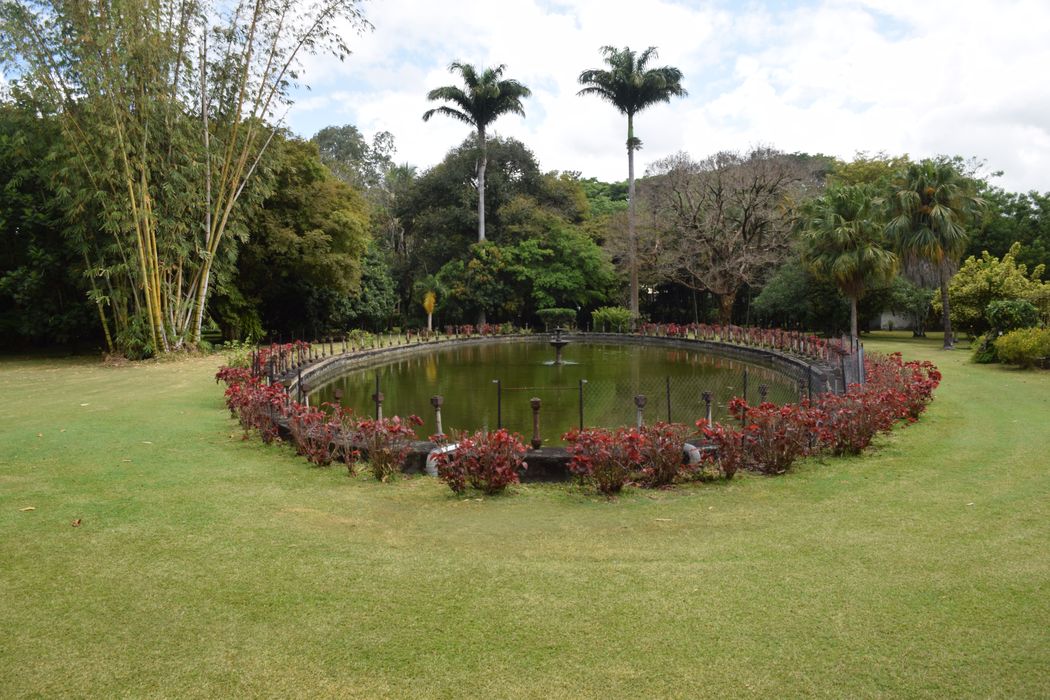 parc, grand bassin