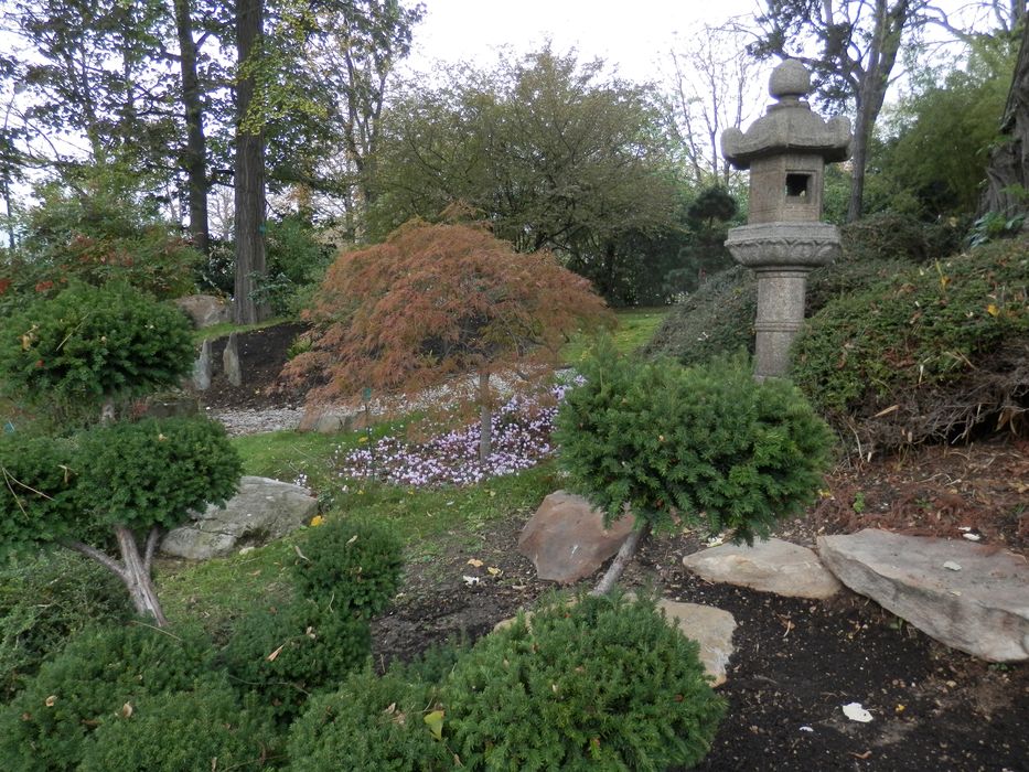 vue partielle du jardin japonais